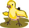 Walking Bab Chick Art Clip Art